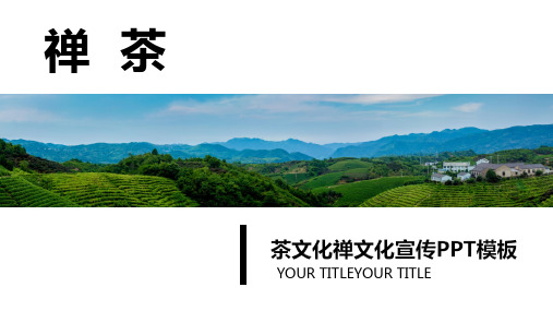茶文化茶叶茶道宣传PPT模版80