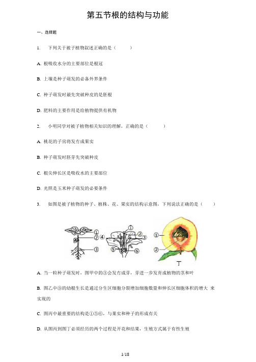 济南版八年级上册第4单元第1章第5节《根的结构和功能》习题