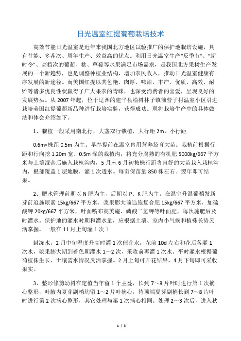 日光温室红提葡萄栽培技术