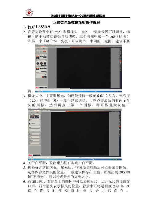 正置荧光显微镜简明操作规程