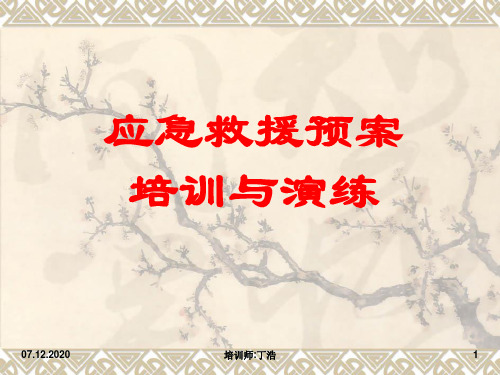 应急救援预案PPT课件