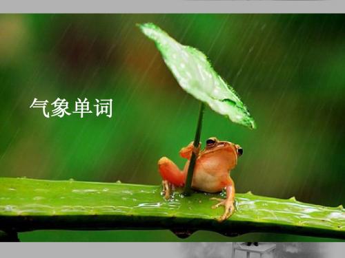 简单气象用语英语单词