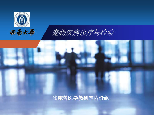 宠物疾病诊疗与检验.ppt