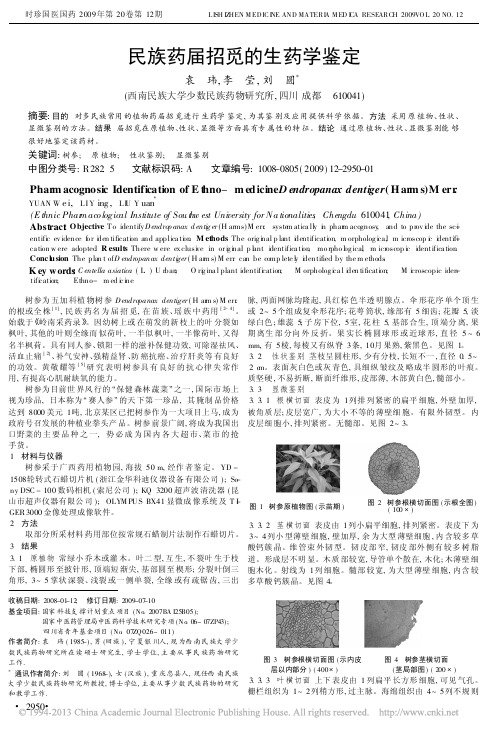 民族药届招觅的生药学鉴定_袁玮