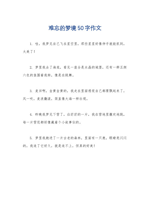 难忘的梦境50字作文