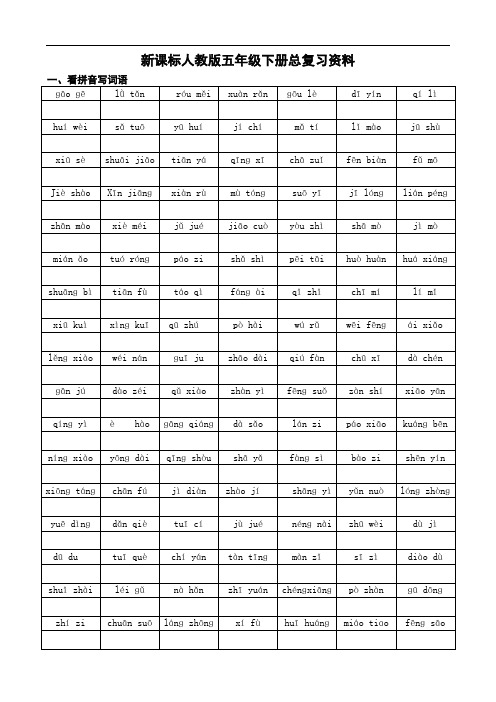 部编人教版五年级语文下册总复习资料(21页)