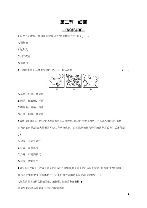 人教版八年级生物上册《5-4-2 细菌》作业同步练习题及参考答案
