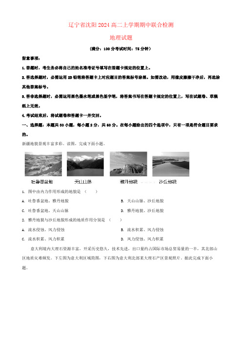 辽宁省沈阳市2024高二地理上学期期中联合检测试题