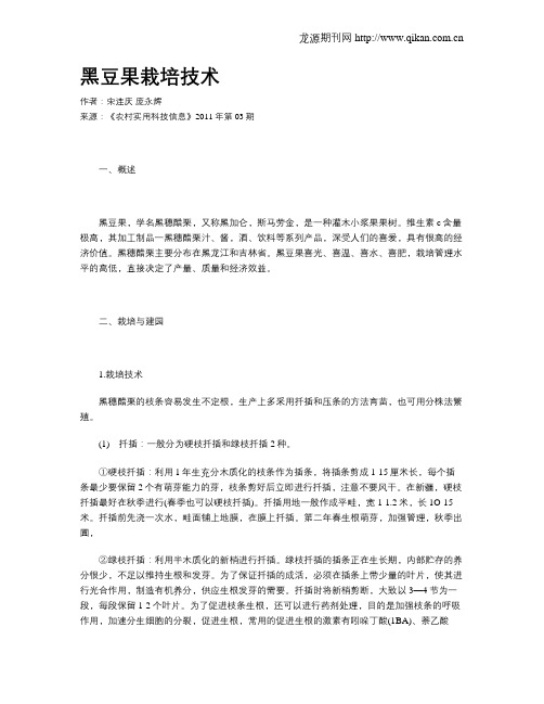 黑豆果栽培技术