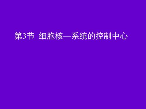 人教版教学课件[名校联盟]辽宁省大连市十四中高中生物 细胞核——系统的控制中心 课件(必修一)