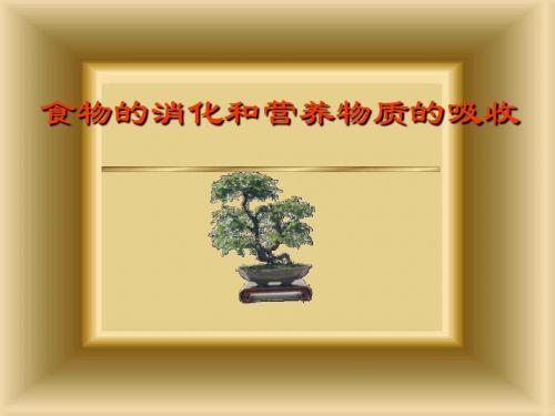 【初中生物】食物的消化和营养物质的吸收PPT课件2