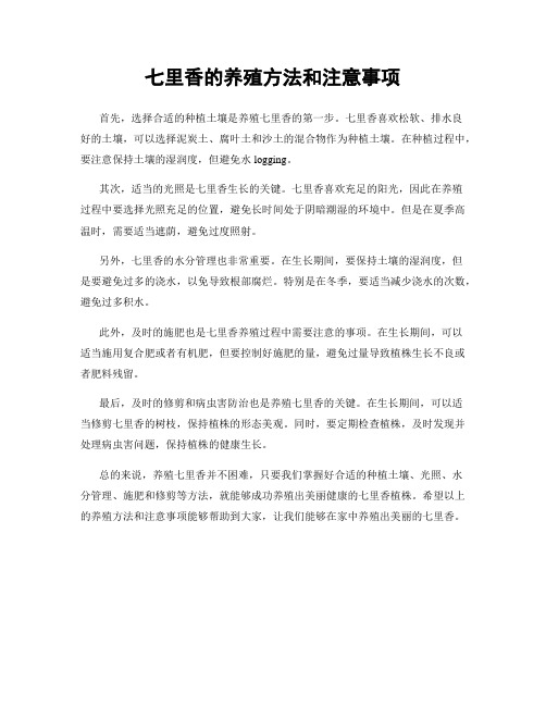 七里香的养殖方法和注意事项