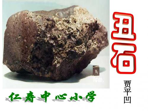 北师大语文六年级上册公开课丑石PPT