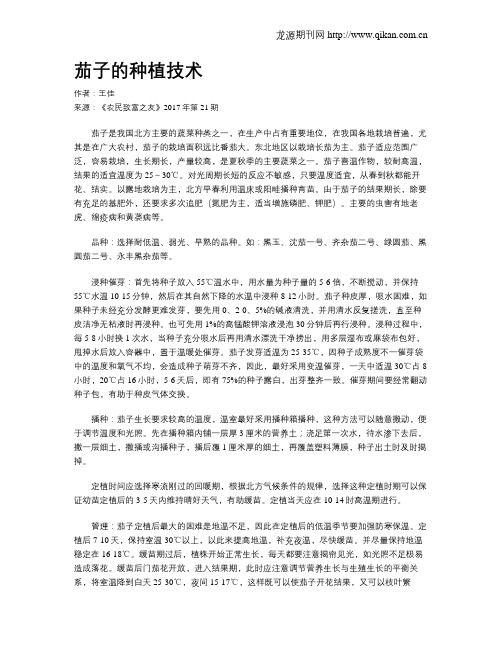 茄子的种植技术