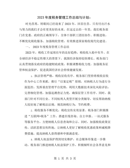 2023年度税务管理工作总结与计划