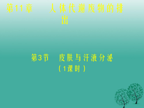 七年级生物下册 11_3《皮肤与汗液分泌》(第1课时)课件 (新版)北师大版