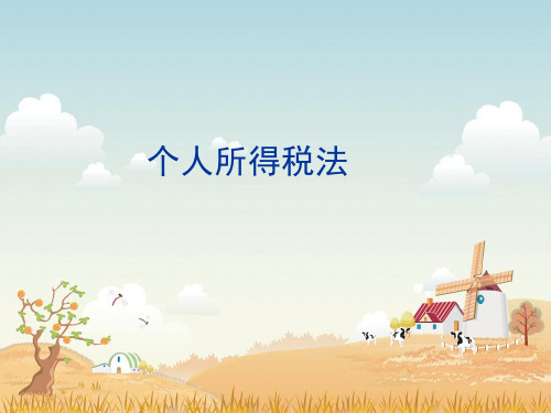 个人所得税法基本原理.pptx