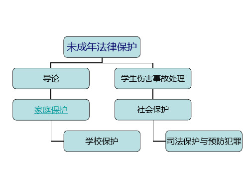 第二章 家庭保护