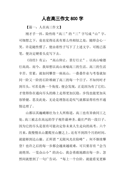 人在高三作文800字