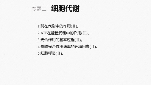 2020高考二轮复习资料-细胞代谢(43张PPT)