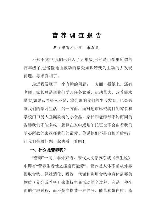 营养报告