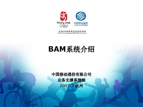 BAM系统介绍