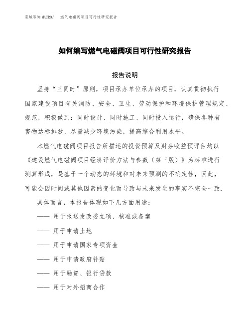 如何编写燃气电磁阀项目可行性研究报告