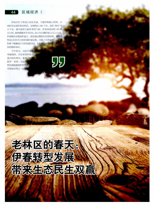 老林区的春天：伊春转型发展带来生态民生双赢