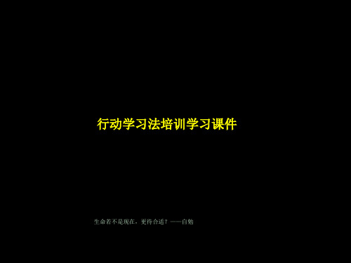 行动学习法培训学习课件