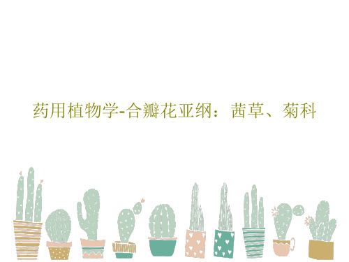 药用植物学-合瓣花亚纲：茜草、菊科36页PPT