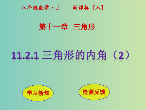 11.2.1三角形的内角(第2课时)