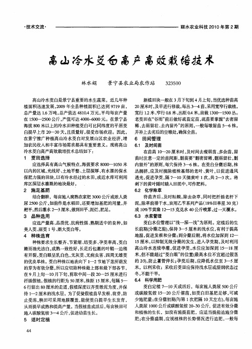 高山冷水茭白高产高效栽培技术