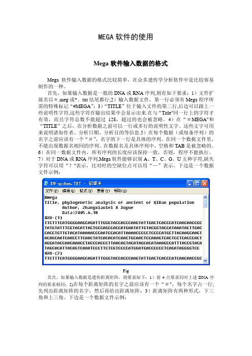 Mega软件的使用1