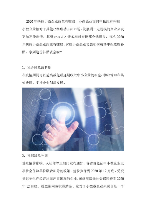 2020年扶持小微企业政策有哪些,小微企业如何申报政府补贴