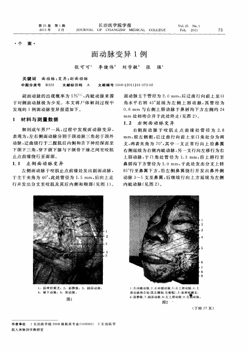 面动脉变异1例