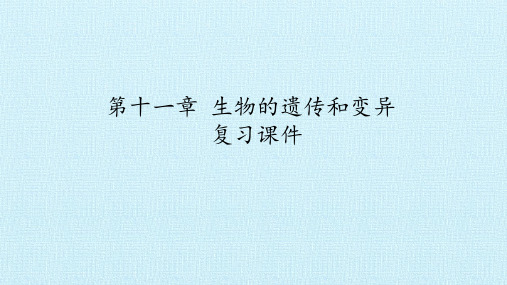 京改版八年级生物上册第十一章 生物的遗传和变异  复习课件(共32张PPT)