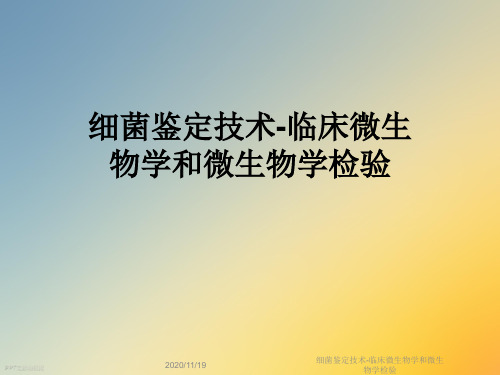细菌鉴定技术-临床微生物学和微生物学检验