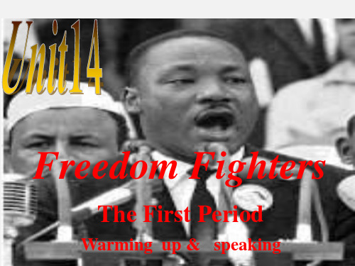 高二英语 Freedom fighters课件