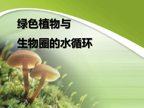 《绿色植物与生物圈的水循环》PPT课件 (共24张PPT)