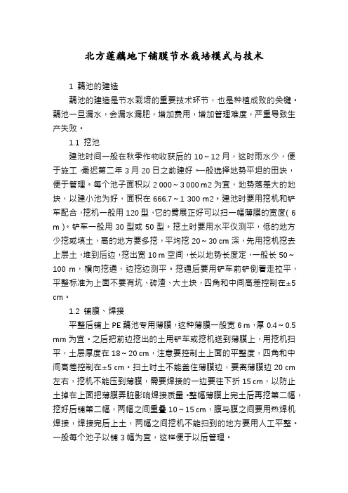 北方莲藕地下铺膜节水栽培模式与技术