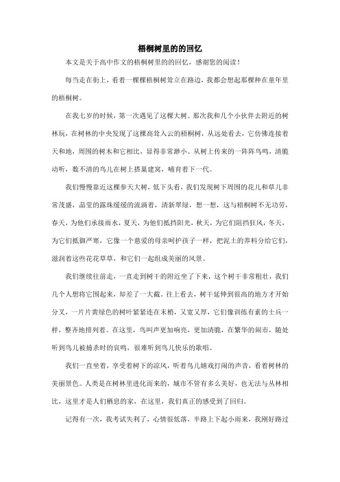 梧桐树里的的回忆_高中作文