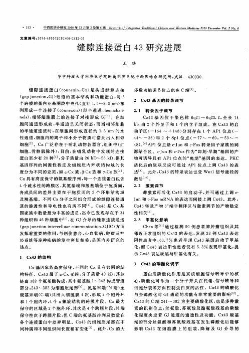 缝隙连接蛋白43研究进展