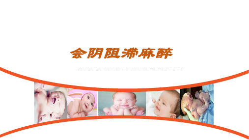 会阴阻滞麻醉PPT课件