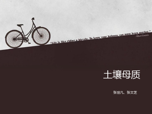 土壤母质