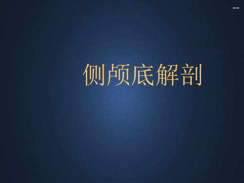 侧颅底解剖  ppt课件