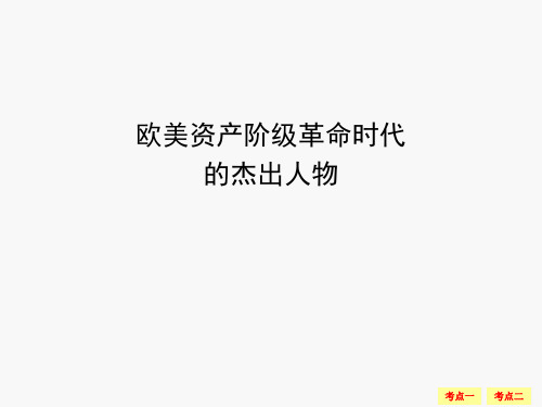 2017年高考复习欧美资产阶级革命时代的杰出人物分析