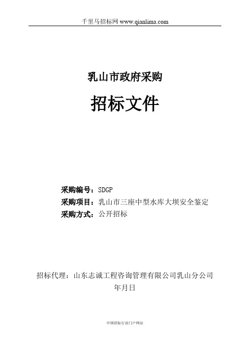 中型水库大坝安全鉴定招投标书范本
