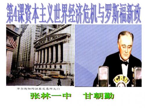 中华书局版九年级下册历史第4课资本主义世界经济危机与罗斯福新政