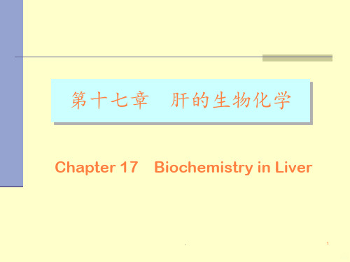 肝的生物化学ppt课件