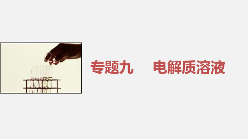 高考化学 二轮复习 专题九 电解质溶液 新人教版